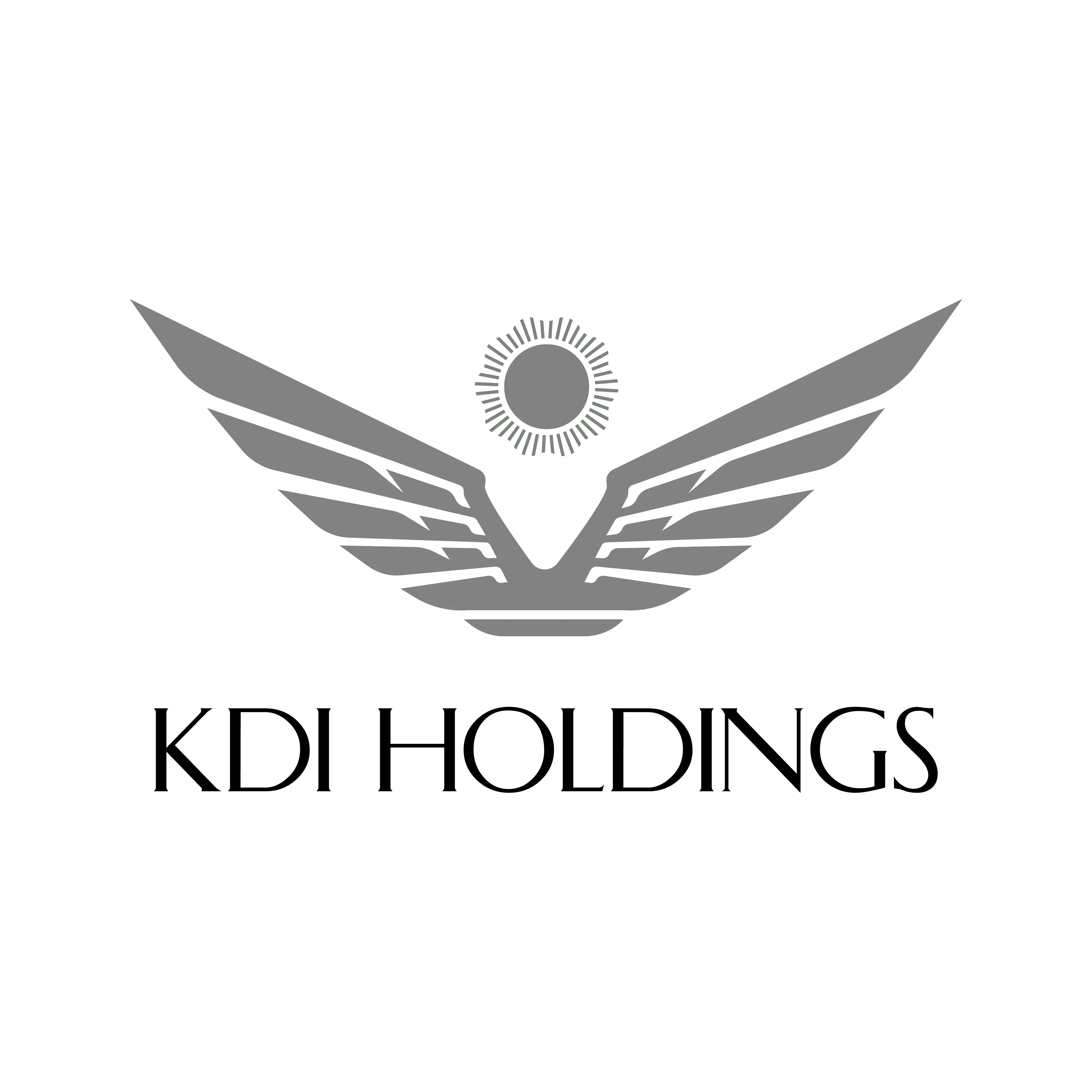 logo strategic partners-KDI Holdings