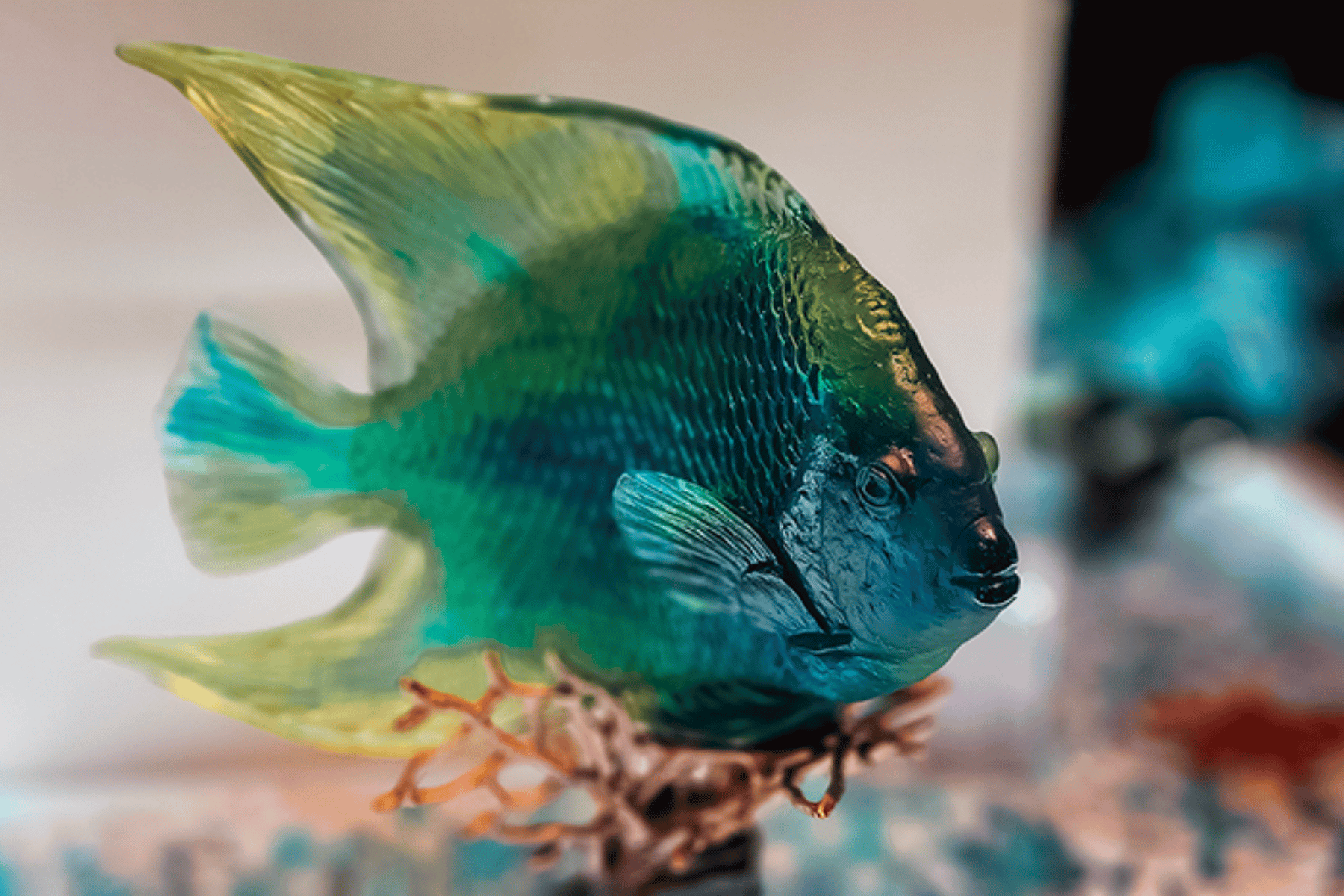 Pha lê Daum theo thời gian ngày càng tăng giá trị sưu tầm